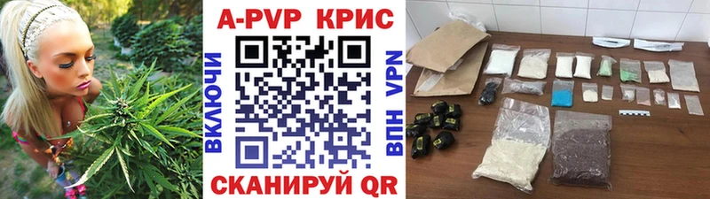 Alfa_PVP СК КРИС  Купить где  Тара 