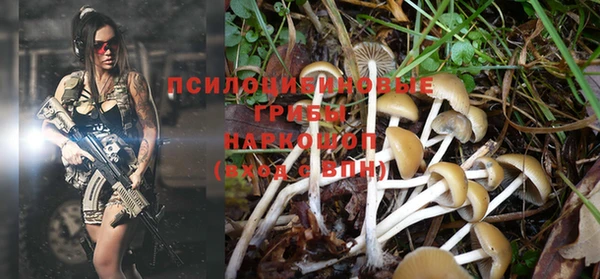 марки lsd Зеленокумск